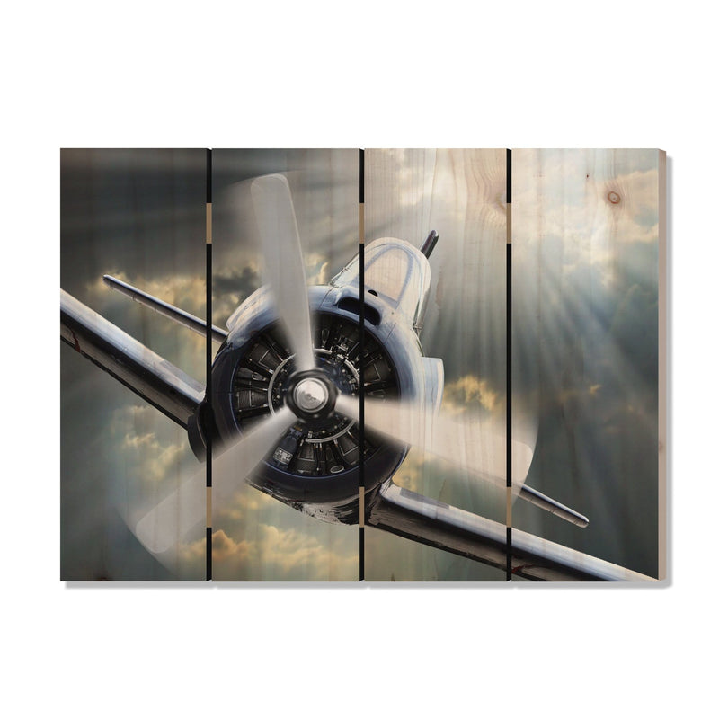 Dive Bomb - Photography on Wood DaydreamHQ Photography on Wood 22x16