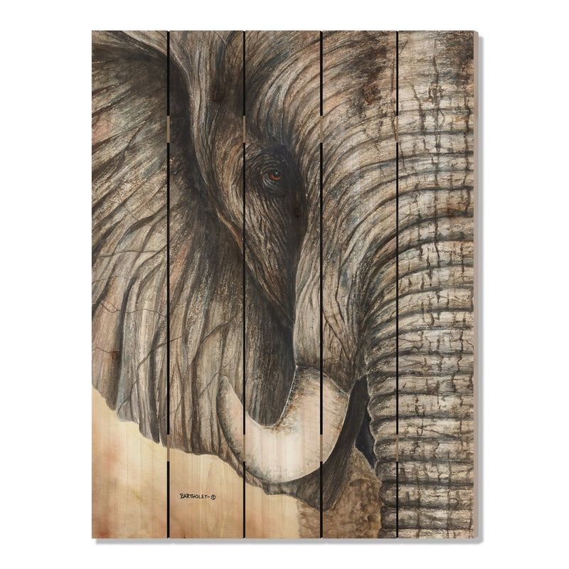 African Elephant by Bartholet DaydreamHQ Fine Art on Wood 28x36