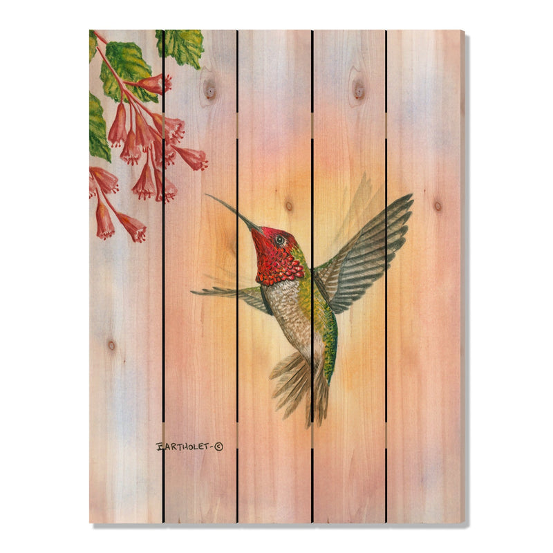 Anna Hummingbird by Bartholet DaydreamHQ Fine Art on Wood 28x36