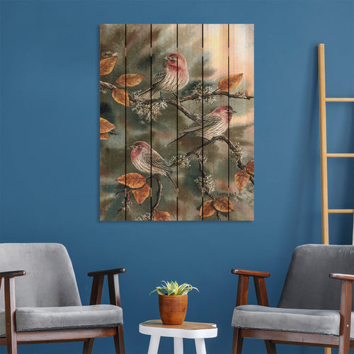 House Finches by Bartholet DaydreamHQ Fine Art on Wood