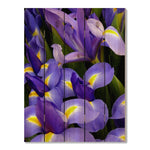 French Iris - Photography on Wood DaydreamHQ Photography on Wood 28x36