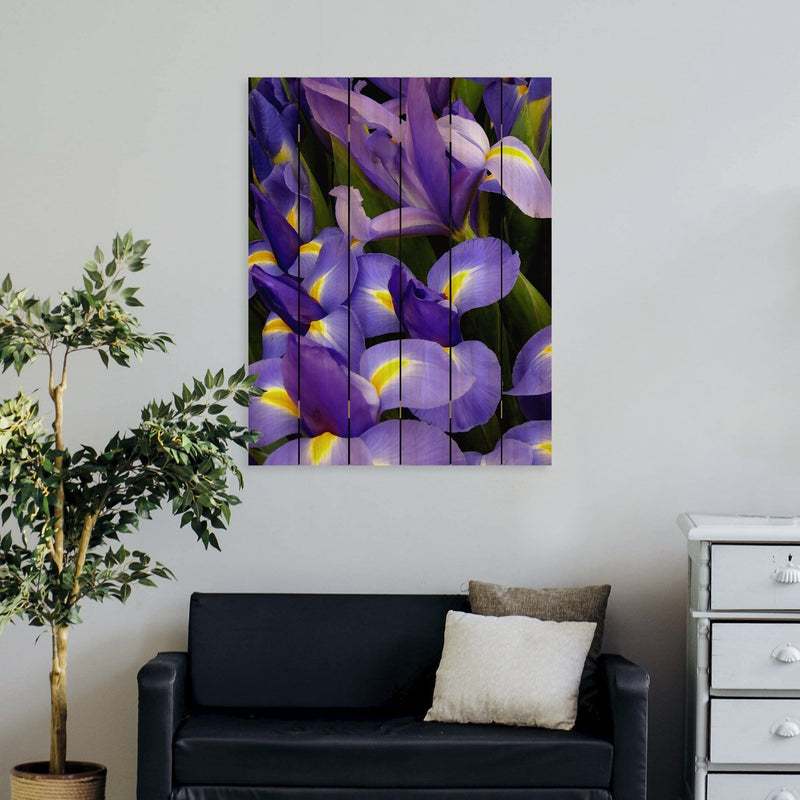 French Iris - Photography on Wood DaydreamHQ Photography on Wood