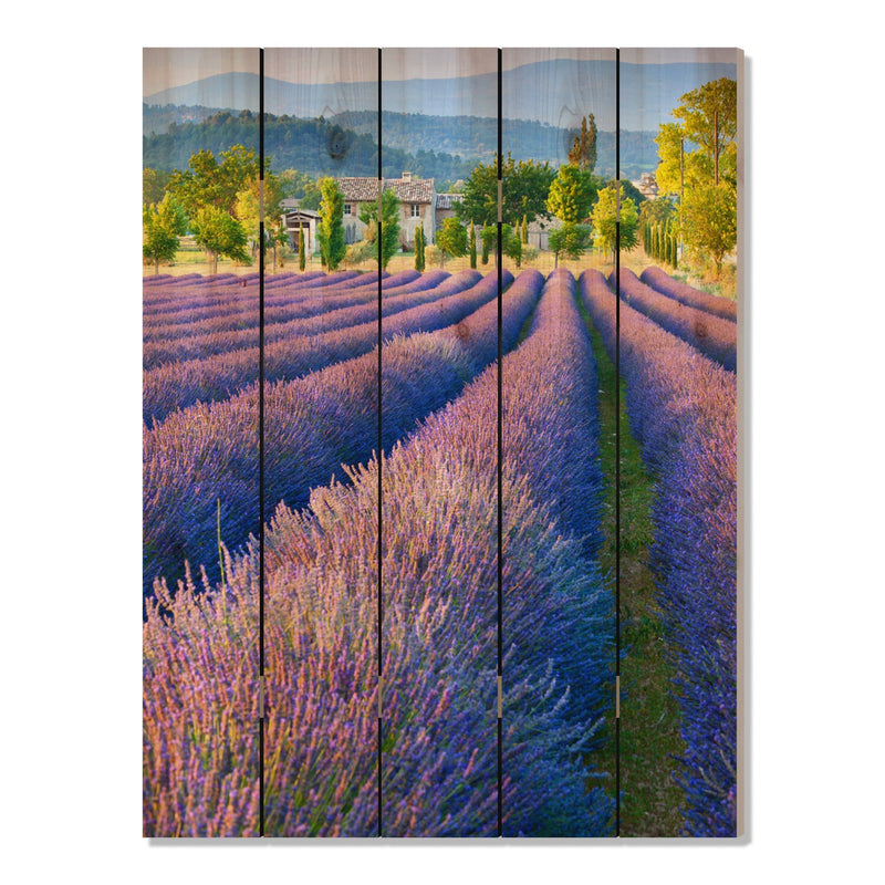 French Lavender - Photography on Wood DaydreamHQ Photography on Wood 28x36