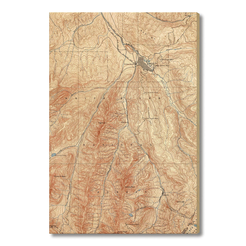 Aspen, Colorado Map from 1893 DaydreamHQ Grand Wood Wall Art 32x48