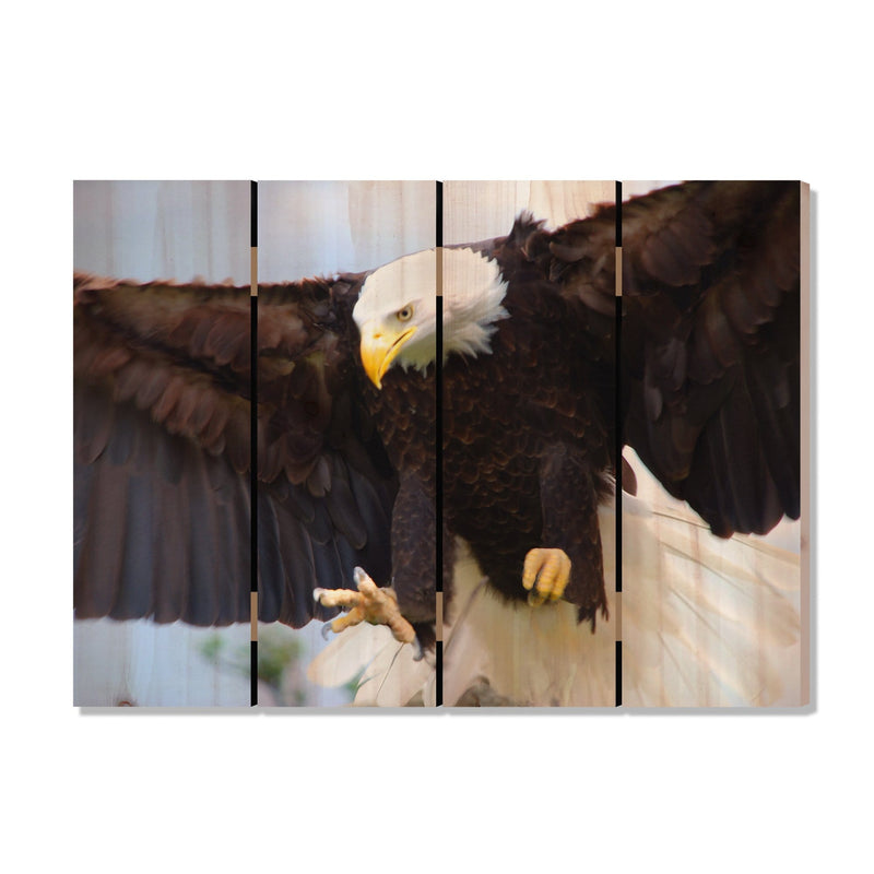 Bald Eagle - Photography on Wood DaydreamHQ Photography on Wood 22x16