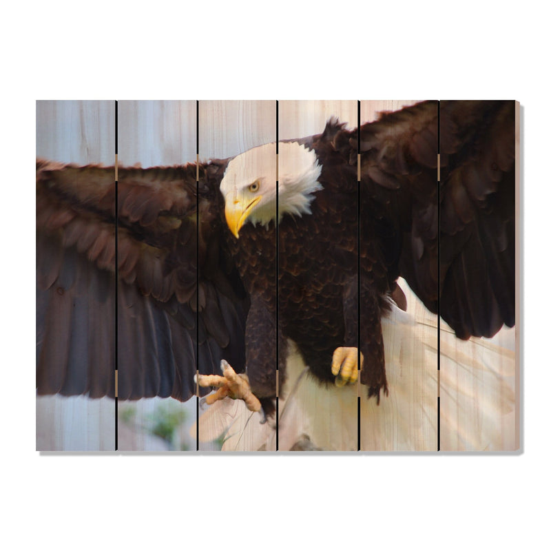 Bald Eagle - Photography on Wood DaydreamHQ Photography on Wood 33x24