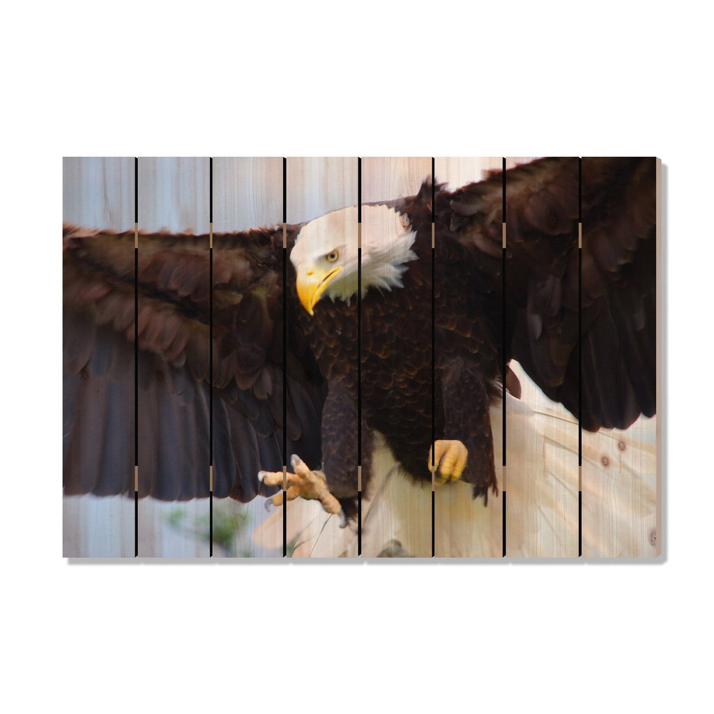 Bald Eagle - Photography on Wood DaydreamHQ Photography on Wood 44x30