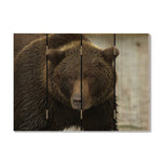 Big Bear - Photography on Wood DaydreamHQ Photography on Wood 22x16