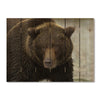 Big Bear - Photography on Wood DaydreamHQ Photography on Wood 33x24