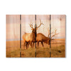 Bull Elk - Photography on Wood DaydreamHQ Photography on Wood 22x16