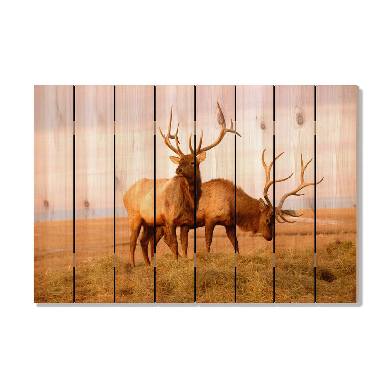 Bull Elk - Photography on Wood DaydreamHQ Photography on Wood 44x30