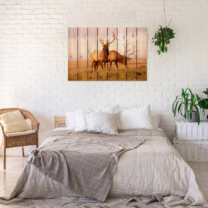 Bull Elk - Photography on Wood DaydreamHQ Photography on Wood