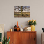 Big Oak - Photography on Wood DaydreamHQ Photography on Wood 22x16