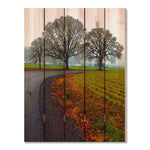 Country Road - Photography on Wood DaydreamHQ Photography on Wood 28x36