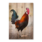 Colorful Rooster - Photography on Wood DaydreamHQ Photography on Wood 16x24