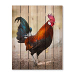 Colorful Rooster - Photography on Wood DaydreamHQ Photography on Wood 32x42