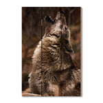 Crying Wolf - Photography on Wood DaydreamHQ Photography on Wood 16x24