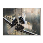 Dive Bomb - Photography on Wood DaydreamHQ Photography on Wood 33x24