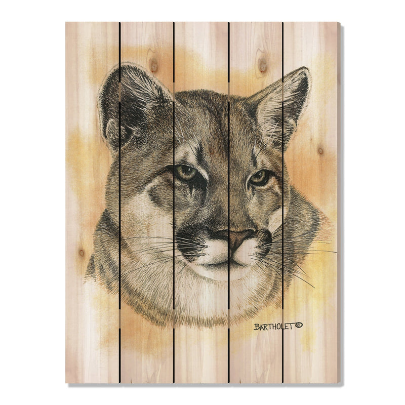 Cougar by Bartholet DaydreamHQ Fine Art on Wood 28x36
