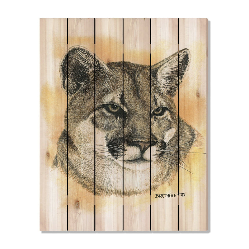 Cougar by Bartholet DaydreamHQ Fine Art on Wood 32x42