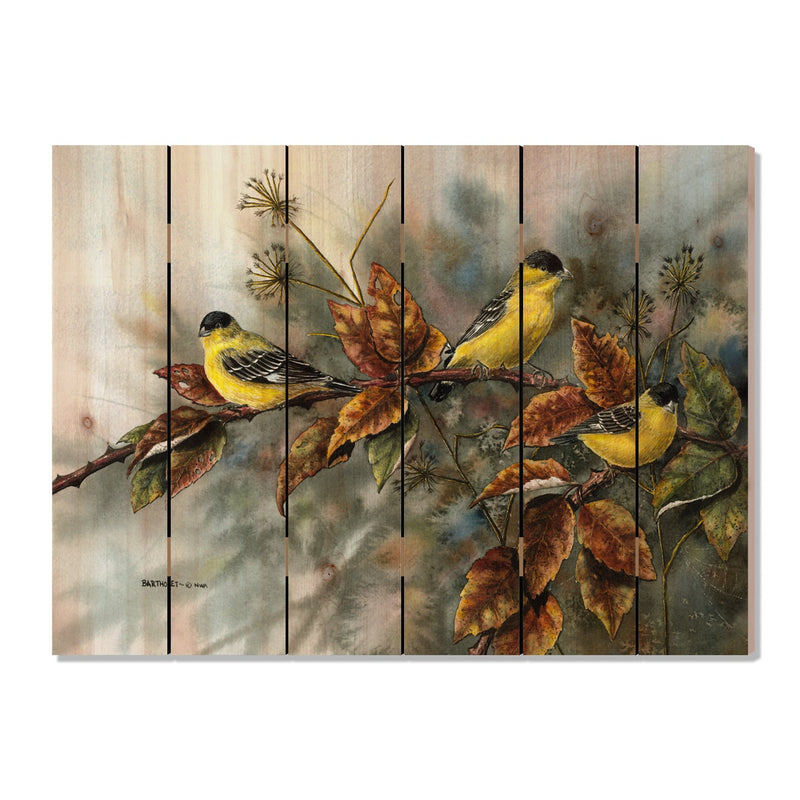 Gold Finches by Bartholet DaydreamHQ Fine Art on Wood 33x24