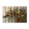 Gold Finches by Bartholet DaydreamHQ Fine Art on Wood 44x30