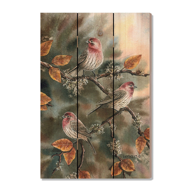 House Finches by Bartholet DaydreamHQ Fine Art on Wood 16x24