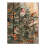 House Finches by Bartholet DaydreamHQ Fine Art on Wood 28x36