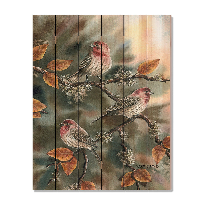 House Finches by Bartholet DaydreamHQ Fine Art on Wood 32x42