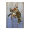 Kestrels by Bartholet DaydreamHQ Fine Art on Wood 16x24