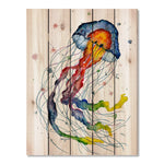 Rainbow Jellyfish by Bartholet DaydreamHQ Fine Art on Wood 28x36