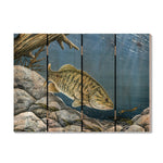 Smallie Fish by Bartholet DaydreamHQ Fine Art on Wood 22x16