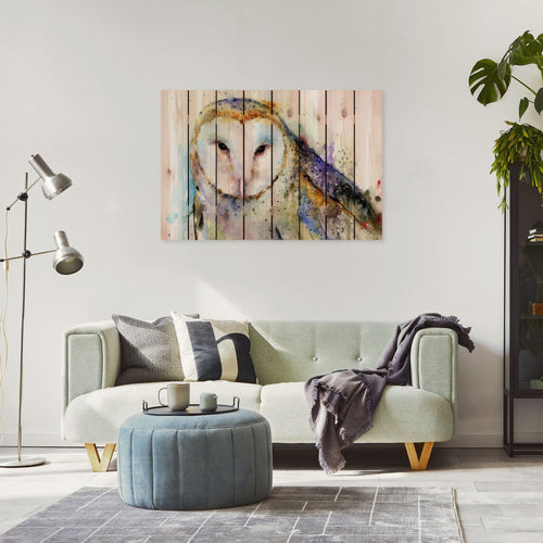 Barn Owl by Crouser DaydreamHQ Fine Art on Wood 44x30