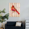 Red Cardinal by Crouser DaydreamHQ Fine Art on Wood
