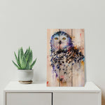 Colorful Snowy Owl by Crouser DaydreamHQ Fine Art on Wood