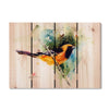 Oriole Bird by Crouser DaydreamHQ Fine Art on Wood 22x16
