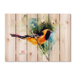 Oriole Bird by Crouser DaydreamHQ Fine Art on Wood 33x24