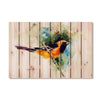 Oriole Bird by Crouser DaydreamHQ Fine Art on Wood 44x30