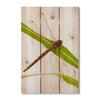 Dragonfly - Photography on Wood DaydreamHQ Photography on Wood 16x24