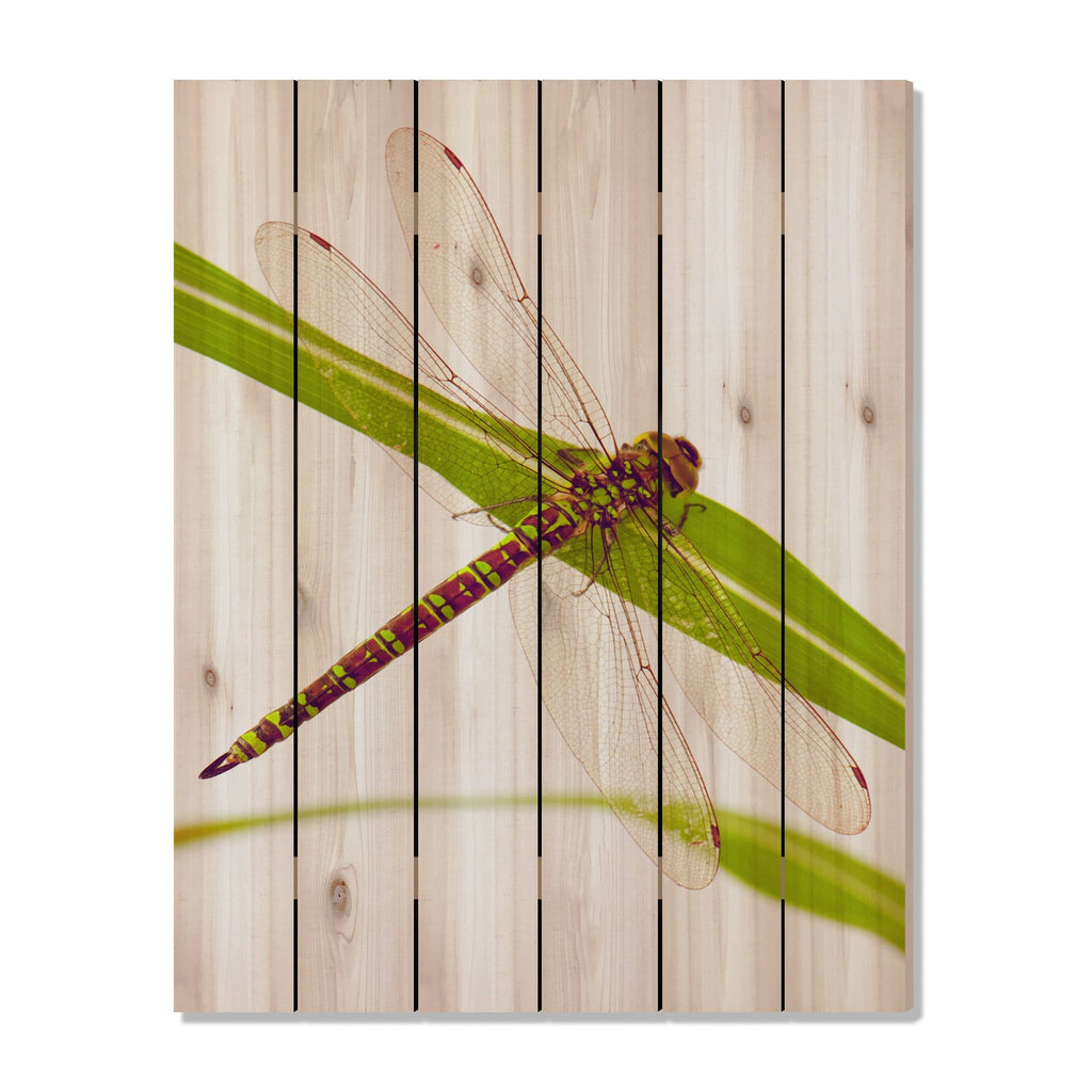 Dragonfly - Photography on Wood DaydreamHQ Photography on Wood 32x42