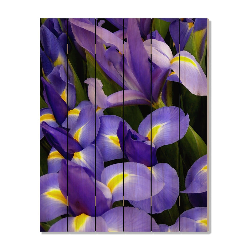 French Iris - Photography on Wood DaydreamHQ Photography on Wood 32x42