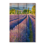 French Lavender - Photography on Wood DaydreamHQ Photography on Wood 16x24