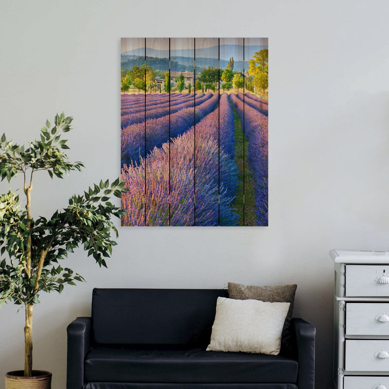 French Lavender - Photography on Wood DaydreamHQ Photography on Wood