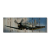 American Ace - Photography on Wood DaydreamHQ Photography on Wood 32x11