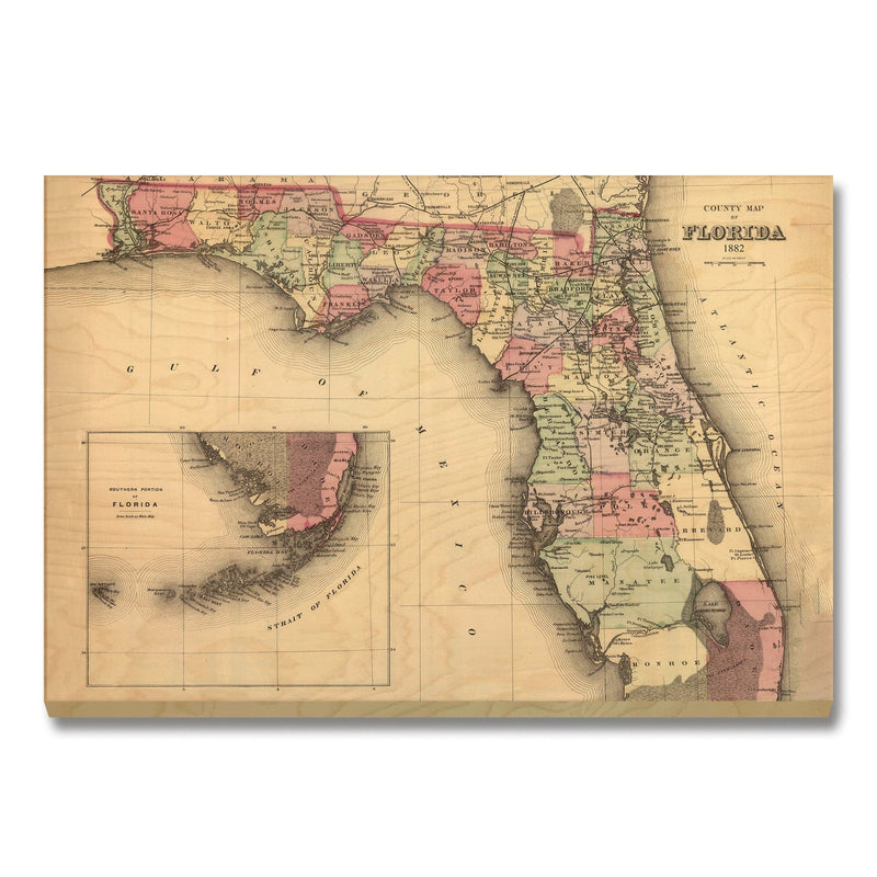 Florida Map from 1882 DaydreamHQ Grand Wood Wall Art 24x18