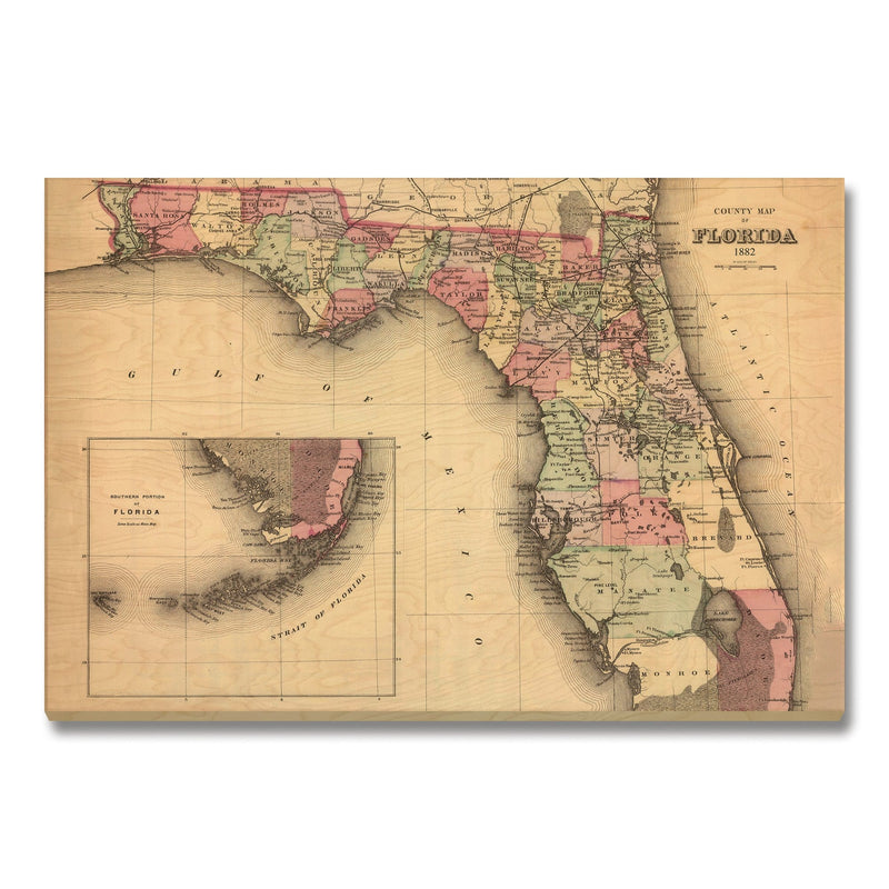 Florida Map from 1882 DaydreamHQ Grand Wood Wall Art 48x32