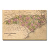 North Carolina Map from 1841 DaydreamHQ Grand Wood Wall Art 24x18