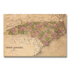 North Carolina Map from 1841 DaydreamHQ Grand Wood Wall Art 48x32