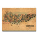 Tennessee Map from 1826 DaydreamHQ Grand Wood Wall Art 24x18