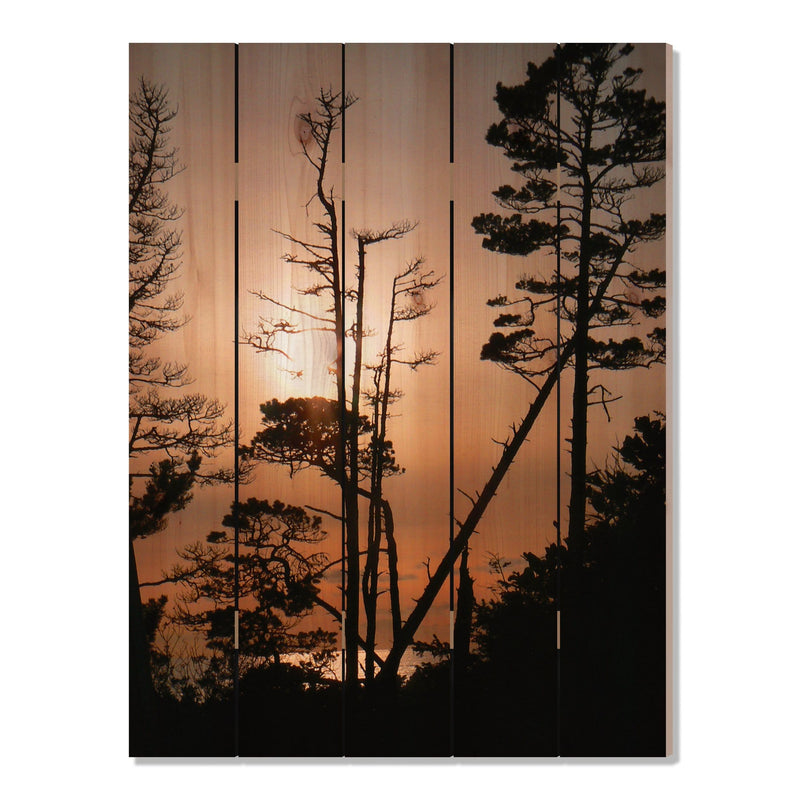 Ocean Forest - Photography on Wood DaydreamHQ Photography on Wood 28x36